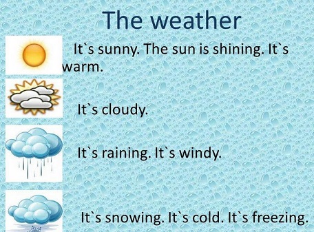 The weather